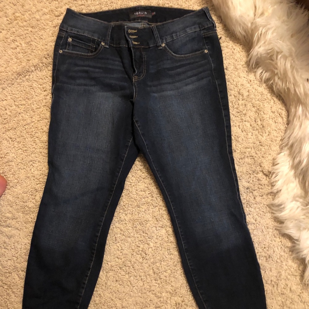 Torrid Skinny Jean / Jegging